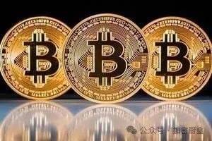 币圈生存法则：揭秘成功的关键要素