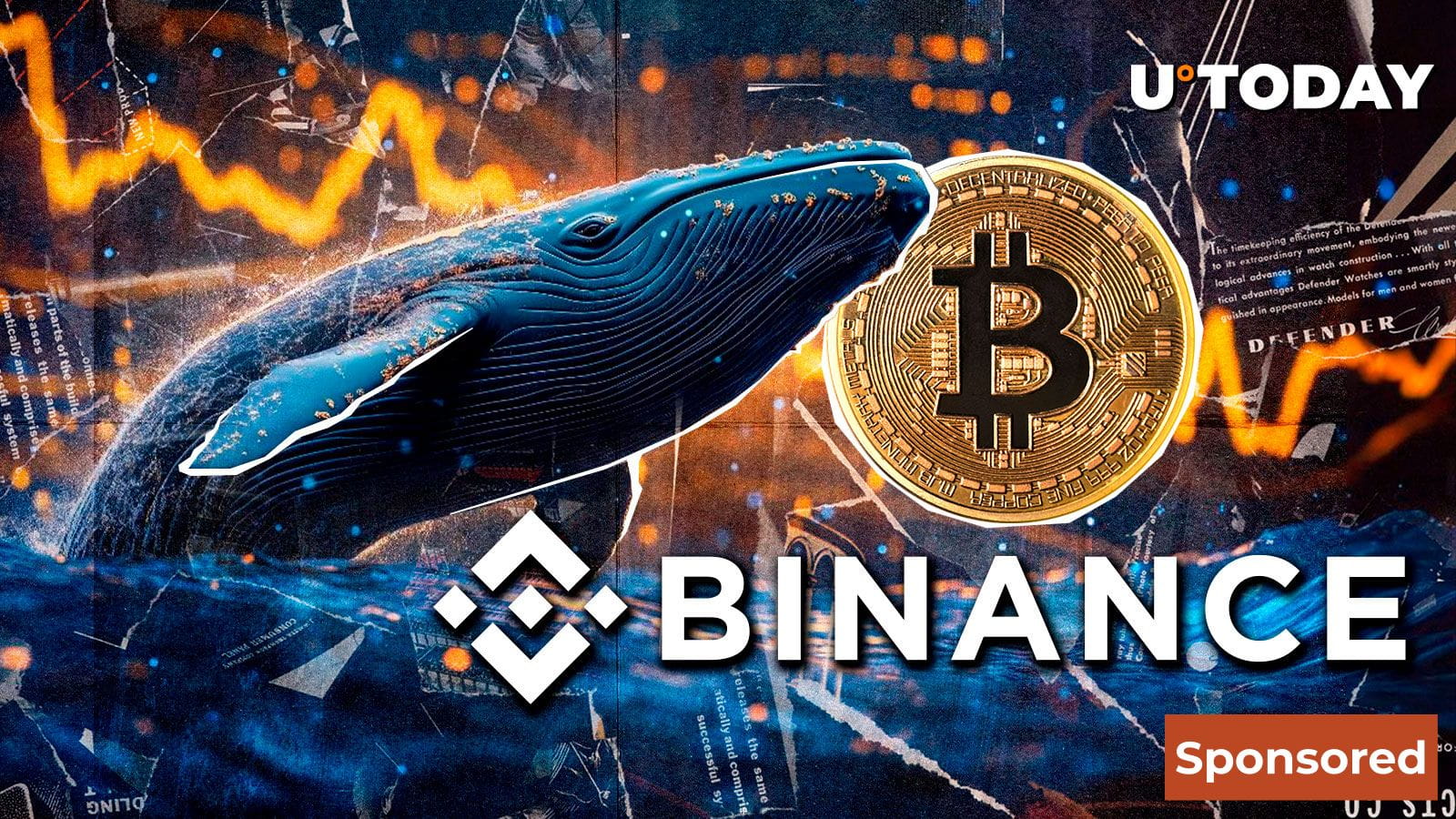 沉寂的比特币鲸鱼在Binance进行大额BTC购买| U.today发布于币安广场