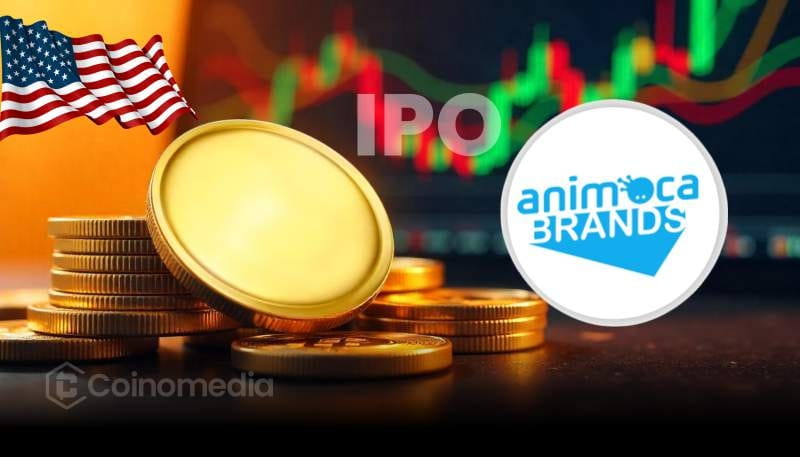 Animoca Brands Eyes New York IPO Amid Crypto Push