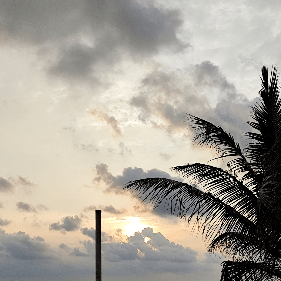 solx 関連最新ニュース、オピニオン、今日のフィード | Binance Square