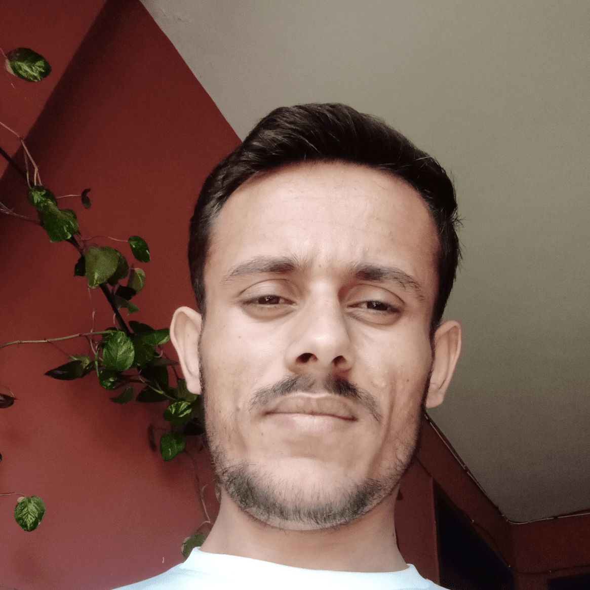 How to Remove Tiny Balances / Dust Coins from Binance? Hey | Hasnain _alamm  on Binance Square