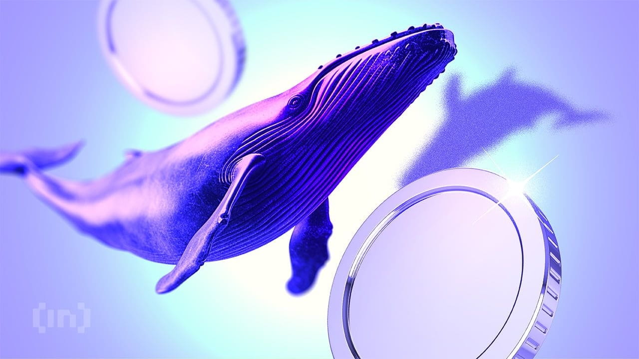 james wynn, baleia hyperliquid