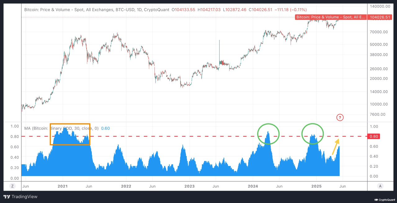 This Late-Stage Bitcoin Bull Signal Has Yet to Appear | blogtienso on  Binance Square