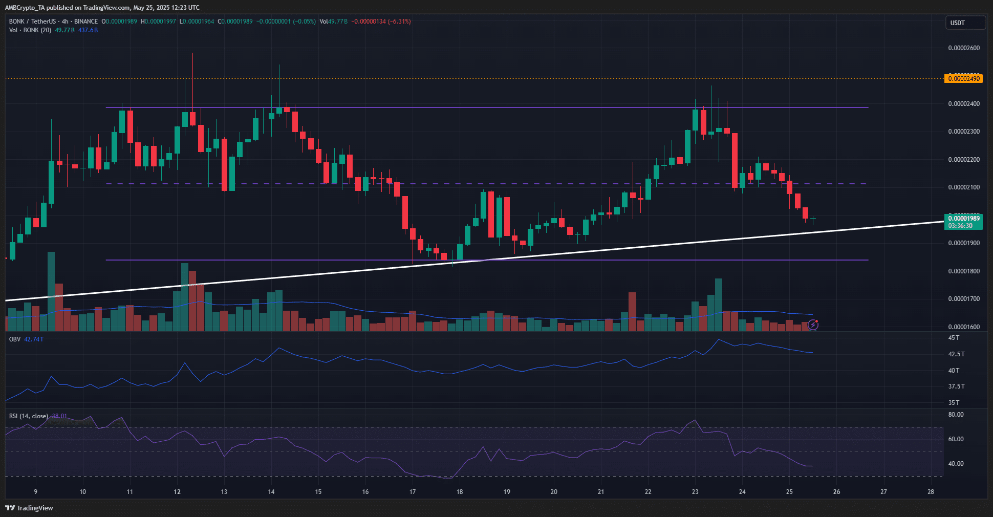 BONK 4-hour Chart