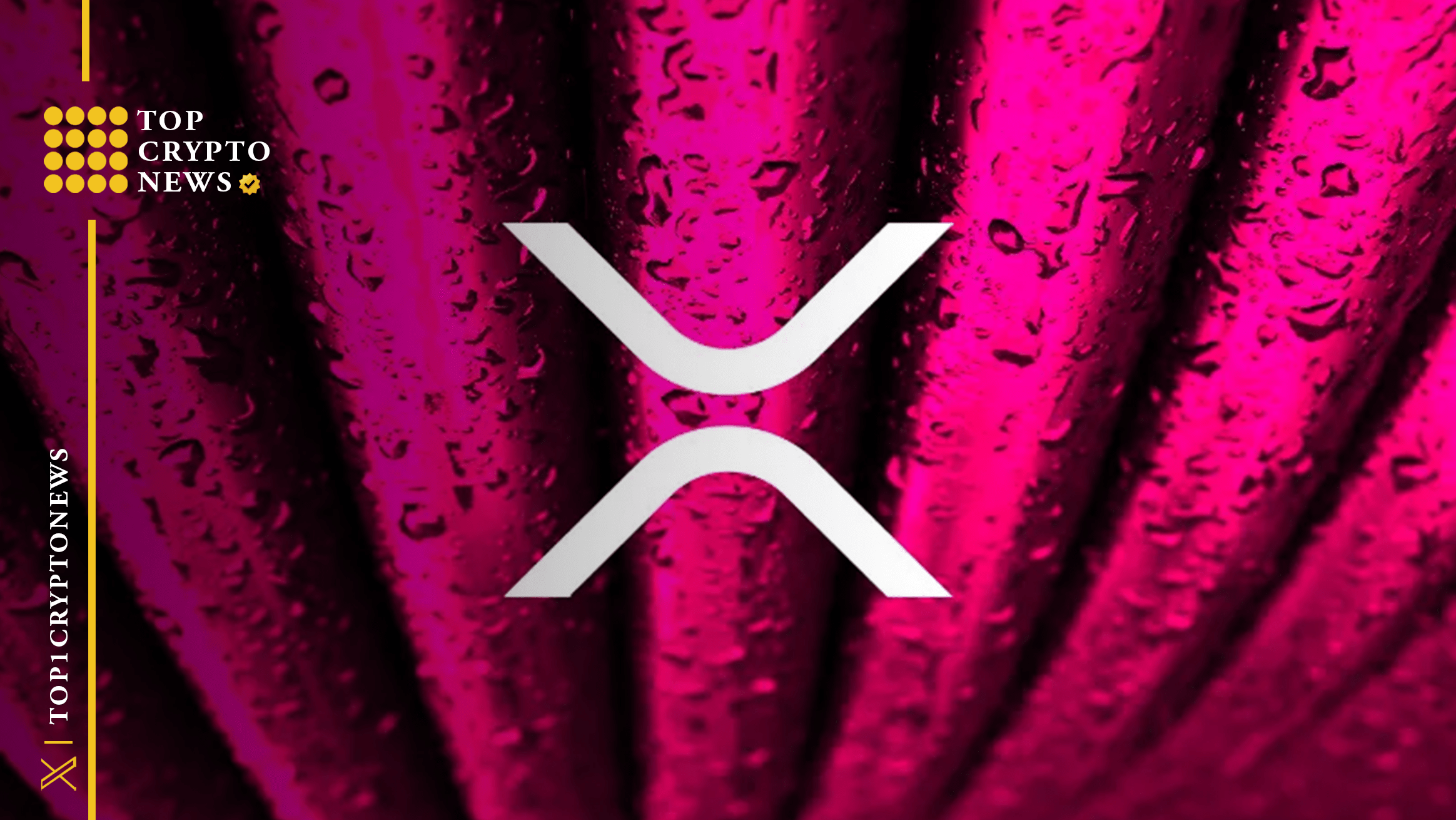 🪙 $XRP Has No Utility, Arca Exec Says Jeff Dorman, chief | TopCryptoNews  on Binance Square