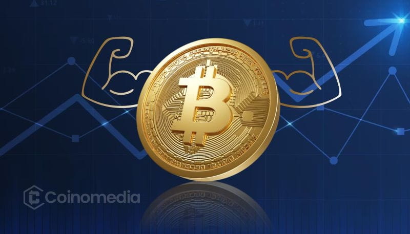 Whale Bets Big: $276M Bitcoin Long at 40x Leverage
