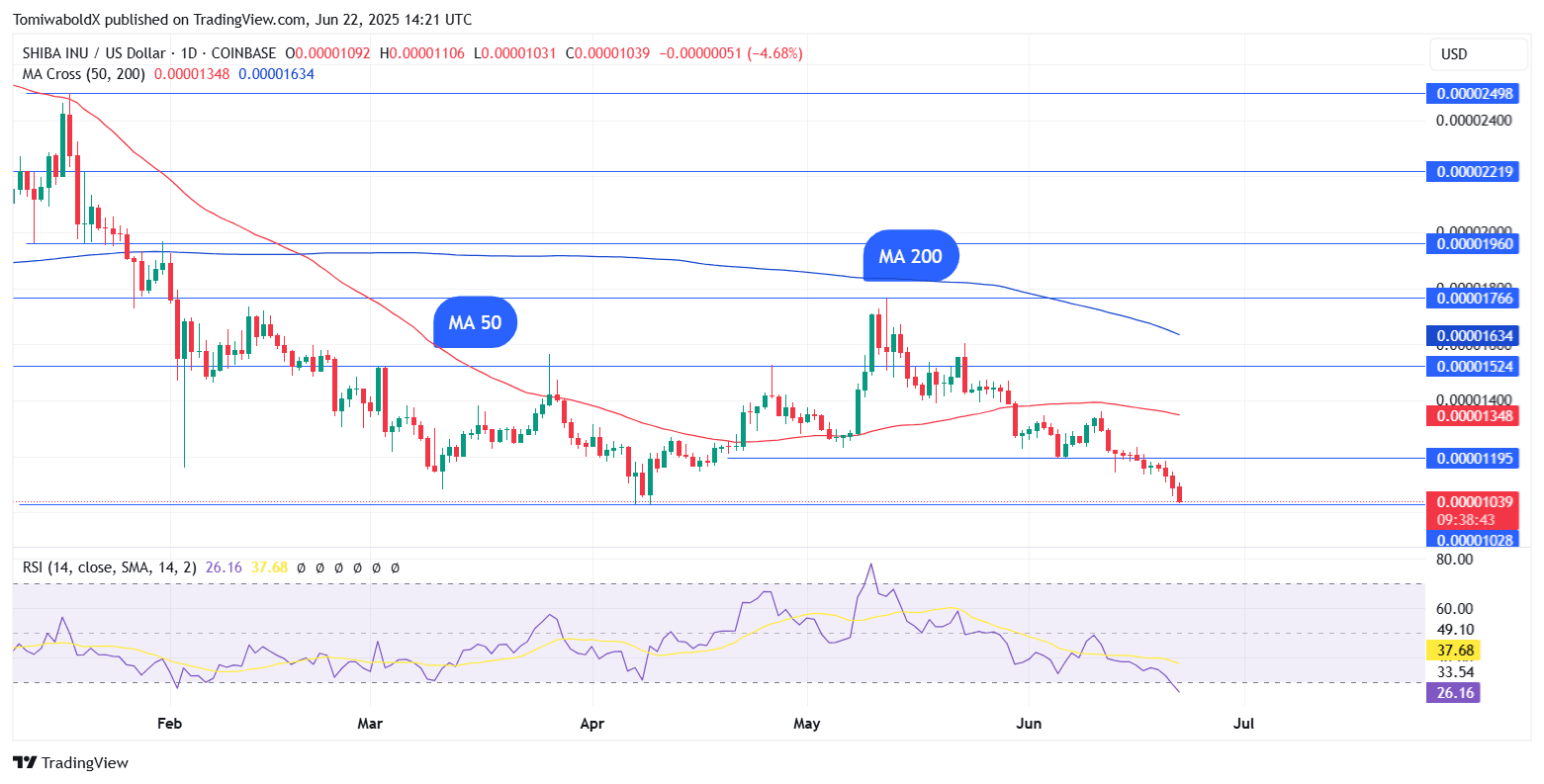 TradingView