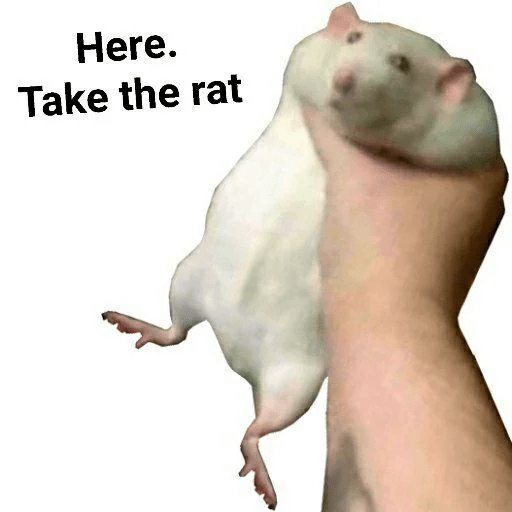 Master Rat King's Profile | Binance Square