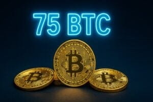 the blockchain group bitcoin