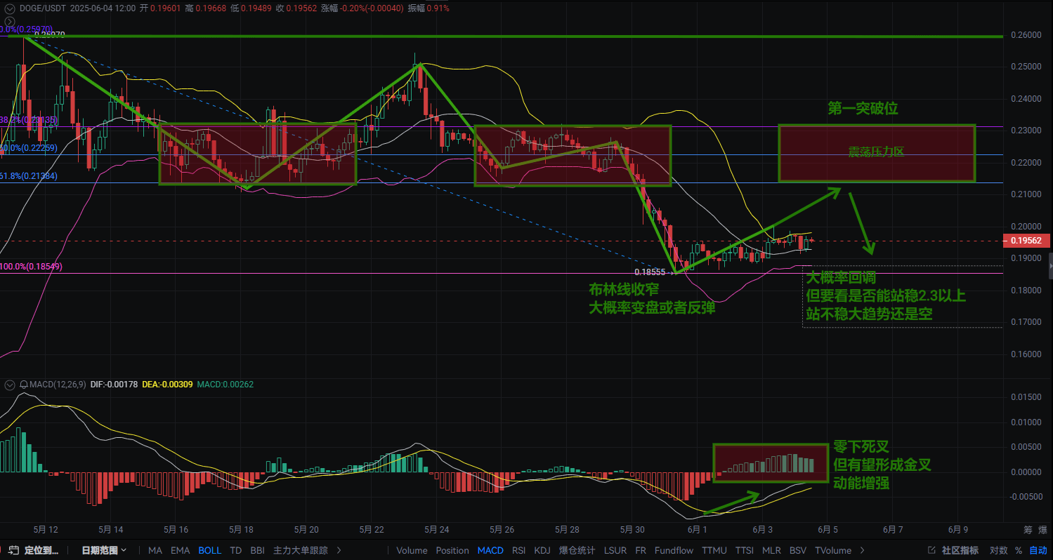 Short-term prediction for Dogecoin: If the line of life at 0.165 is broken,  a waterfall will come; whale accumulation struggles against the bearish  trend! | 涨币管家 on Binance Square