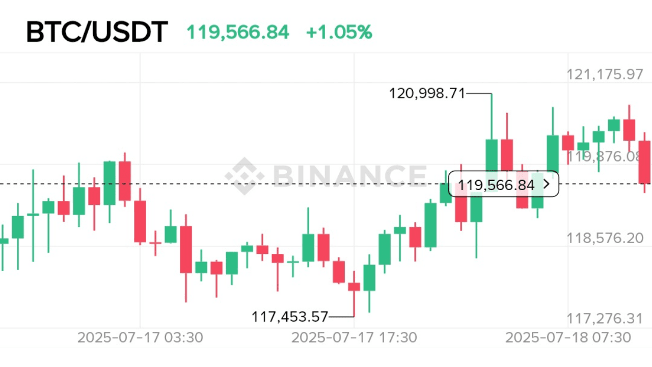 Bitcoin ( BTC ) Record Maker | njs-btc on Binance Square
