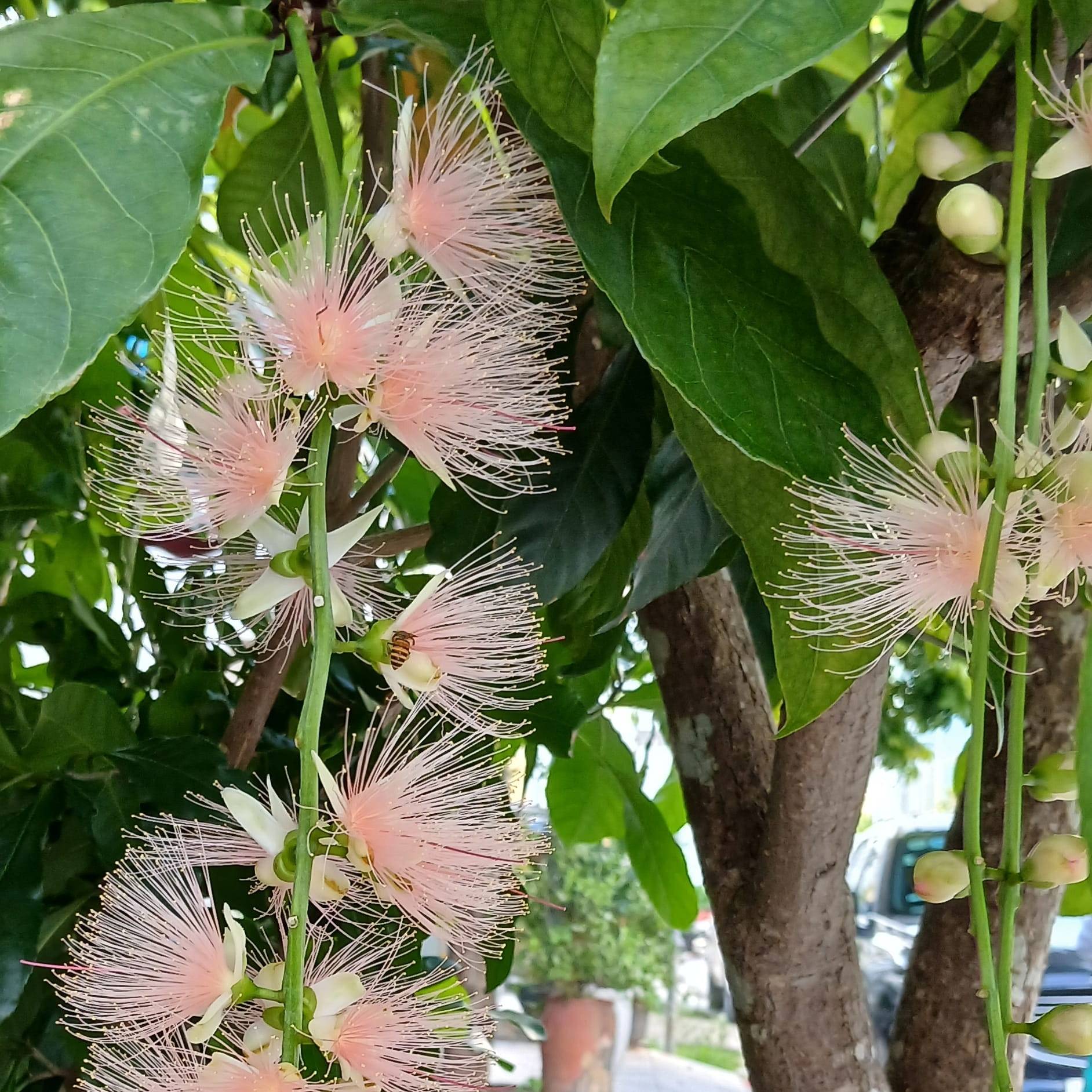 Profil von Magan Zachter lO3R | Binance Square