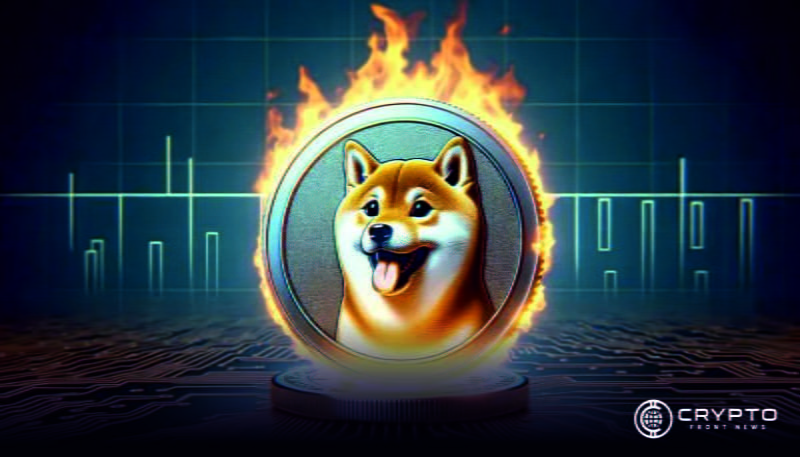 Shiba Inu CFN