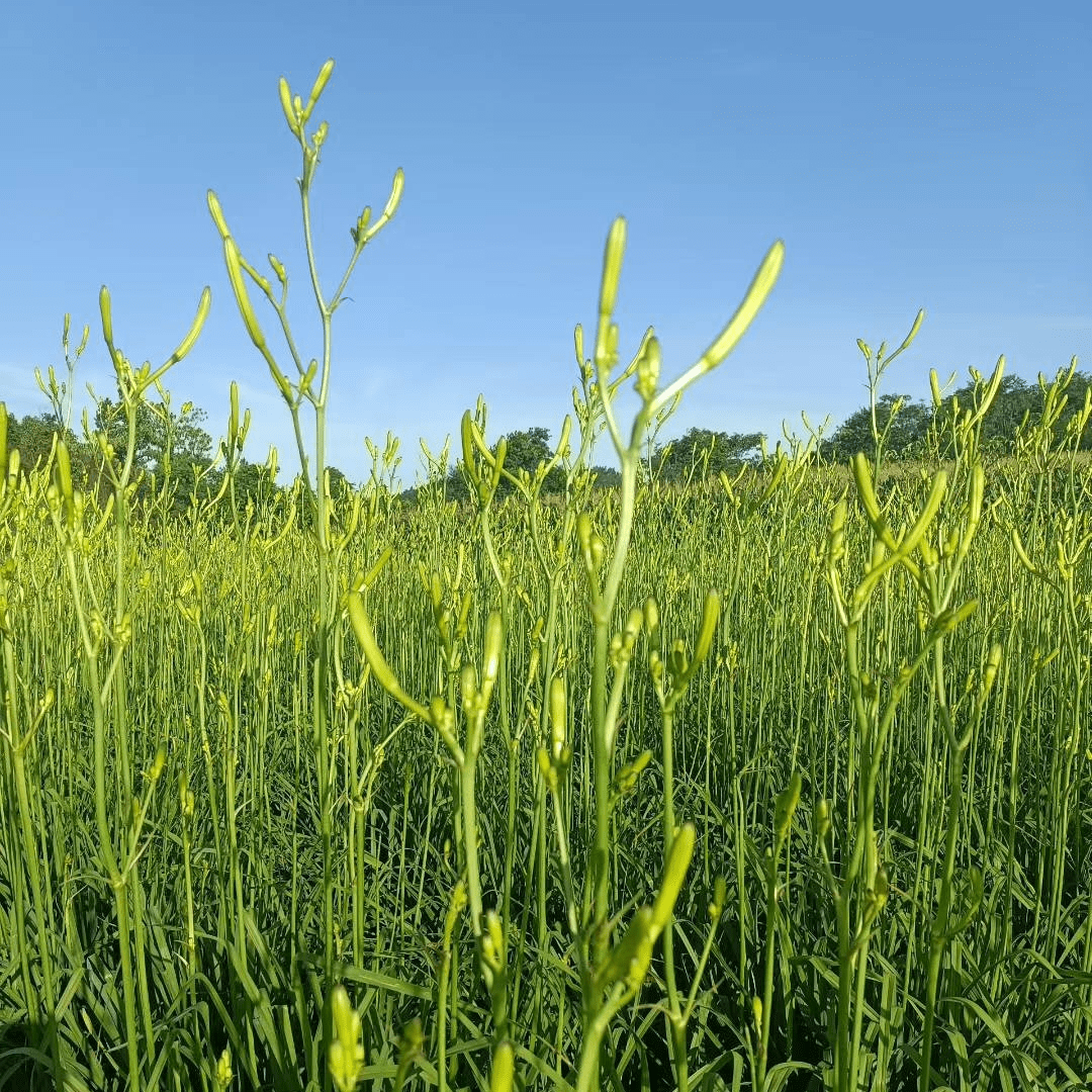 Guia de negociação à vista da Binance | Binance Academy no Binance Square