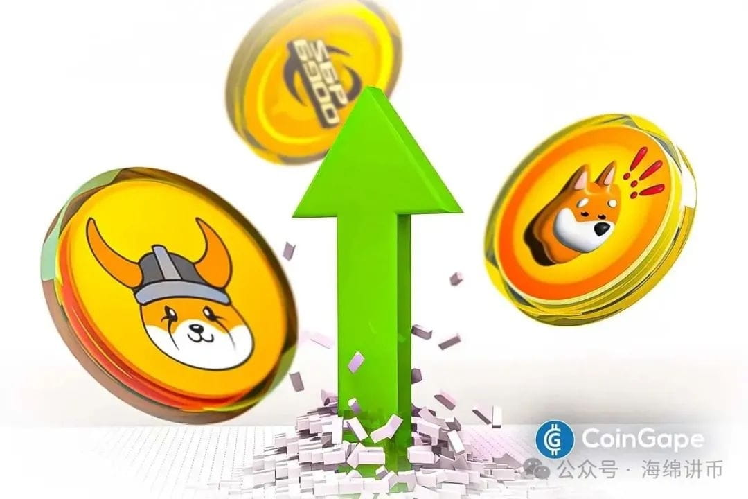 为什么 FLOKI、BONK、SPX6900 等 Meme Coin 如今价格飙升？