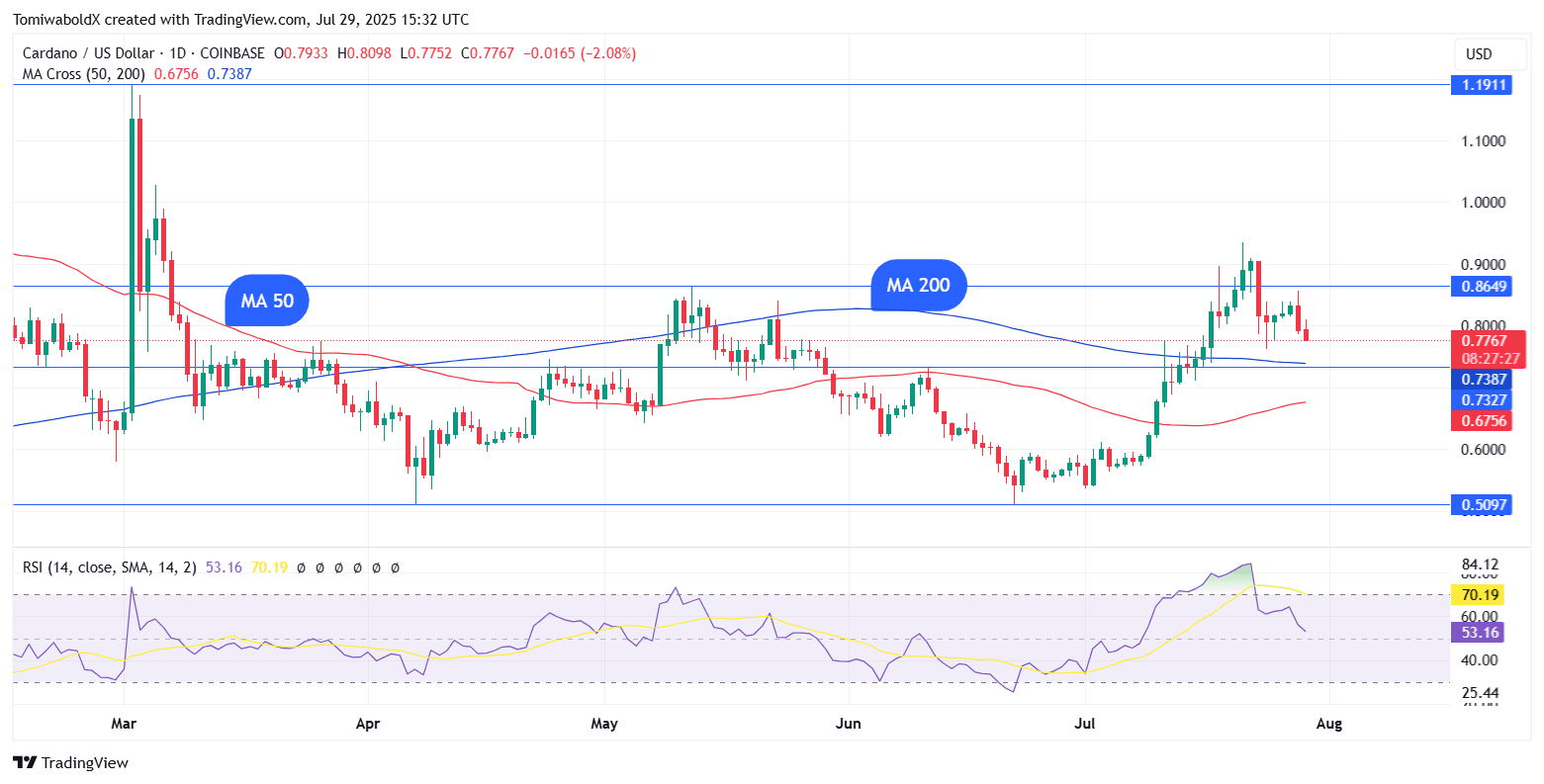 TradingView