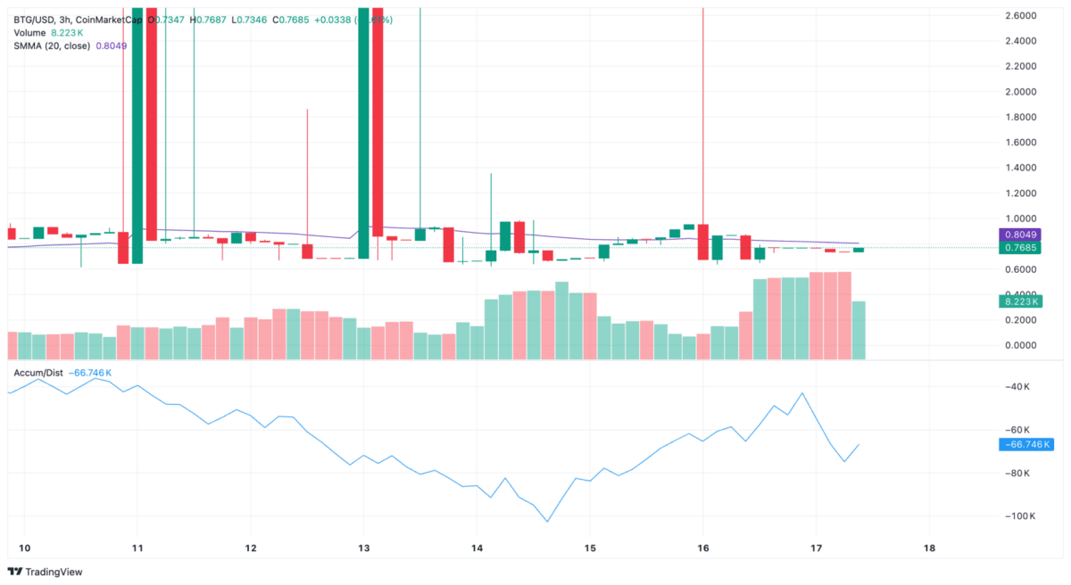 Bitcoin Gold 3-hour chart