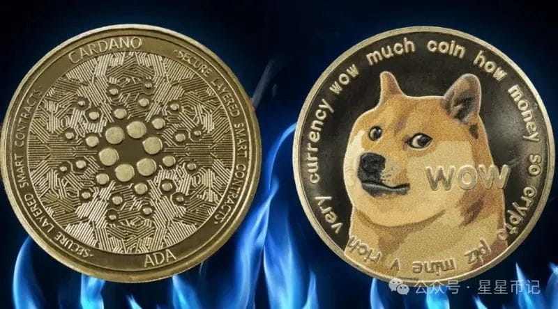 狗狗币与卡尔达诺