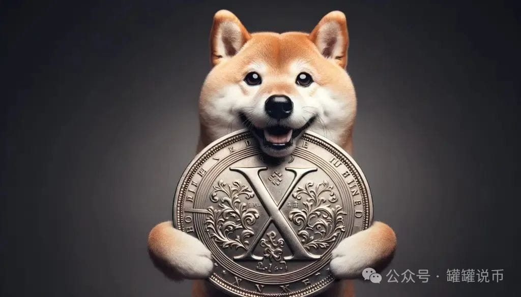 柴犬 XRP