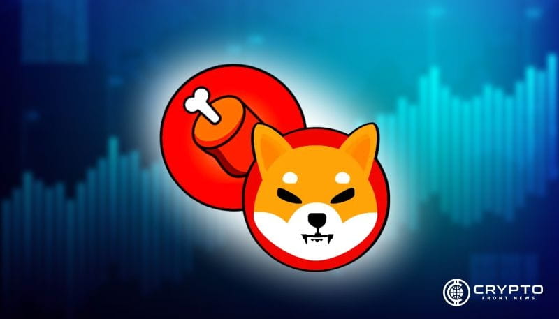 Shiba Inu Eyes $0.0000456 as Whale Accumulation Grows Stronger