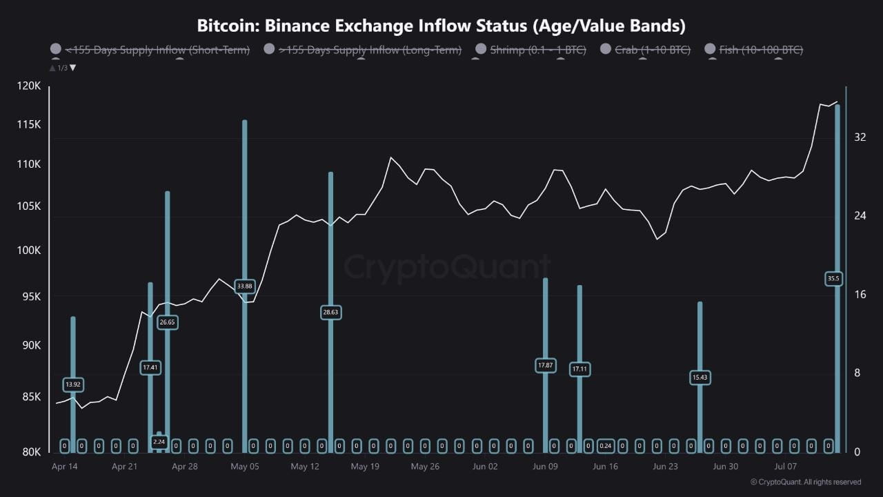 Binance Exchange Inflow Status. Source: CryptoQuant.