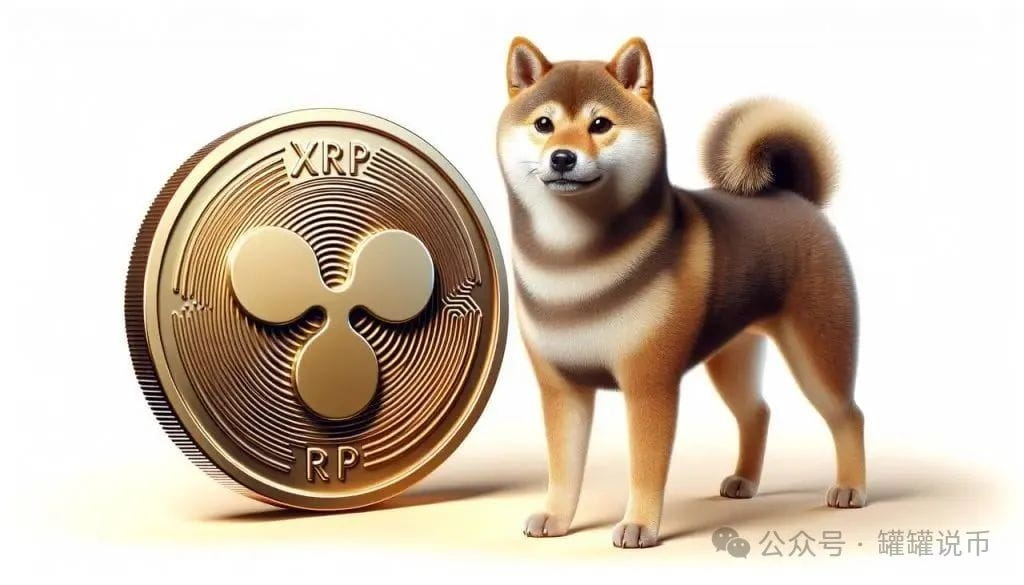 XRP 旁边的 Shib