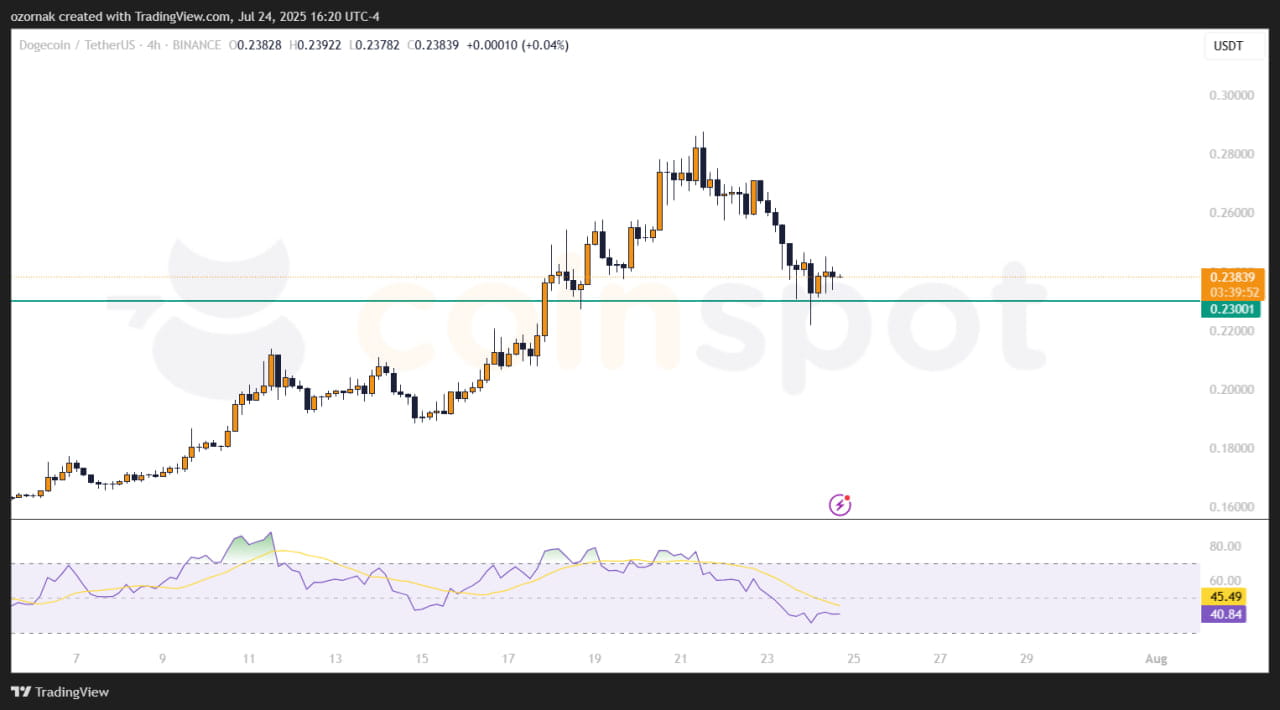 Dogecoin Falls 11% Amid Institutional Sales and Market Volatility |  Aleksandr1981 on Binance Square