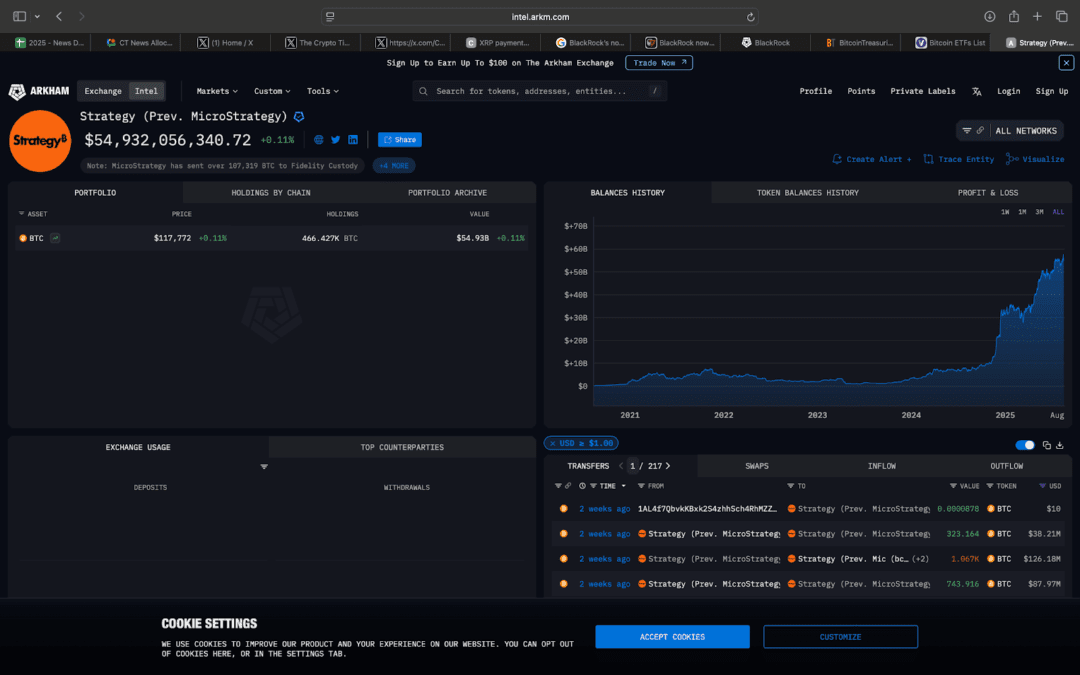 Strategy’s Bitcoin Holding
