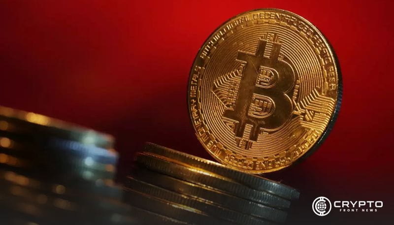 Samson Mow Urges Musk to Adopt Bitcoin Amid Tesla Stock Plunge