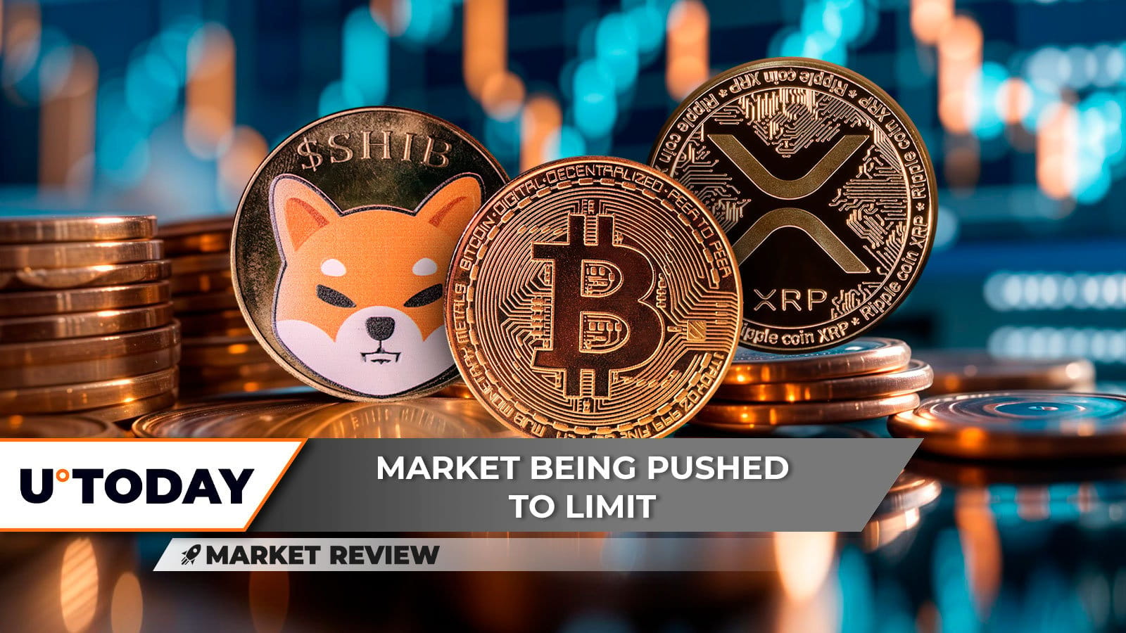 柴犬（SHIB）熊市被摧毁，比特币（BTC）价格紧缩，这是XRP的机会