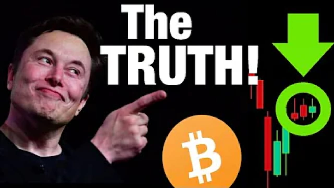 They’re LYING to You About Bitcoin & Elon Musk!! Crypto Crew