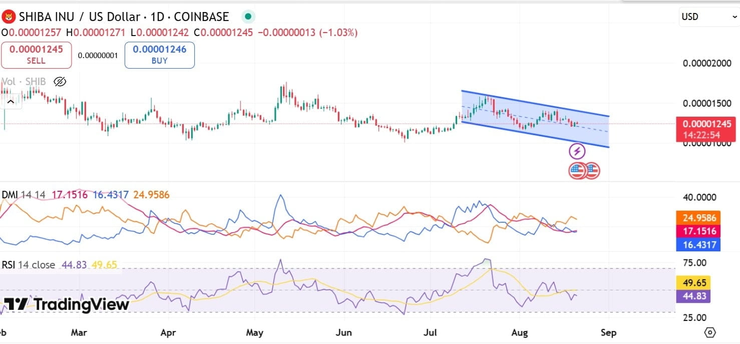 柴犬 DMI 和 RSI