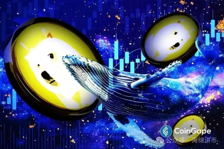 专家称，3.1亿鲸鱼疯狂购买，DOGE价格将迎来下一轮上涨