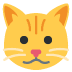 🐱