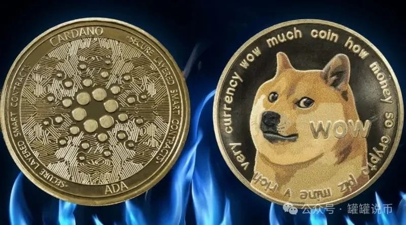 狗狗币与卡尔达诺