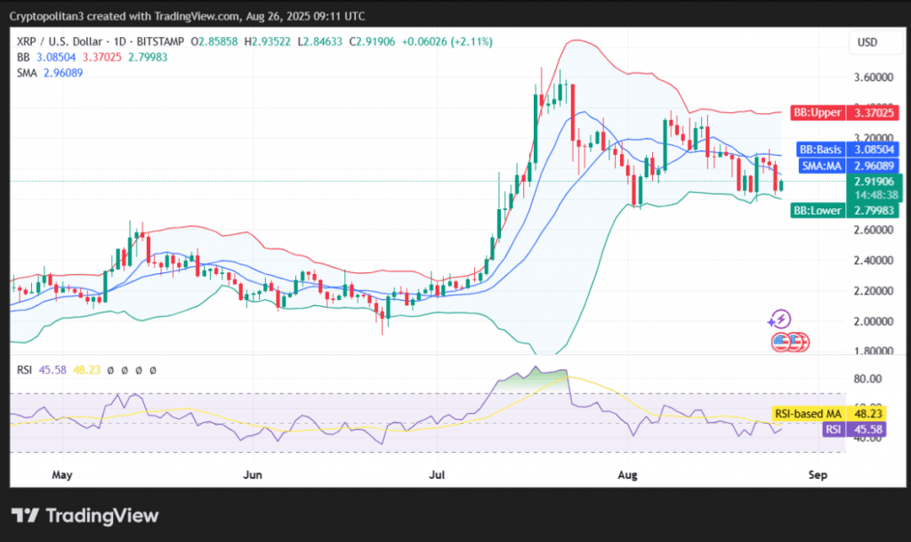 Прогноз цены XRP на 2050 год: сможет ли XRP преодолеть 300