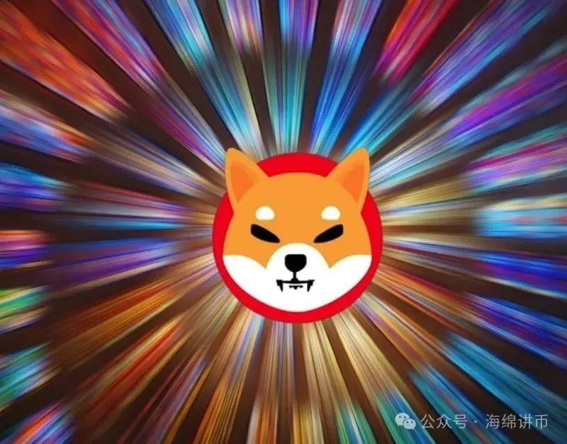 柴犬