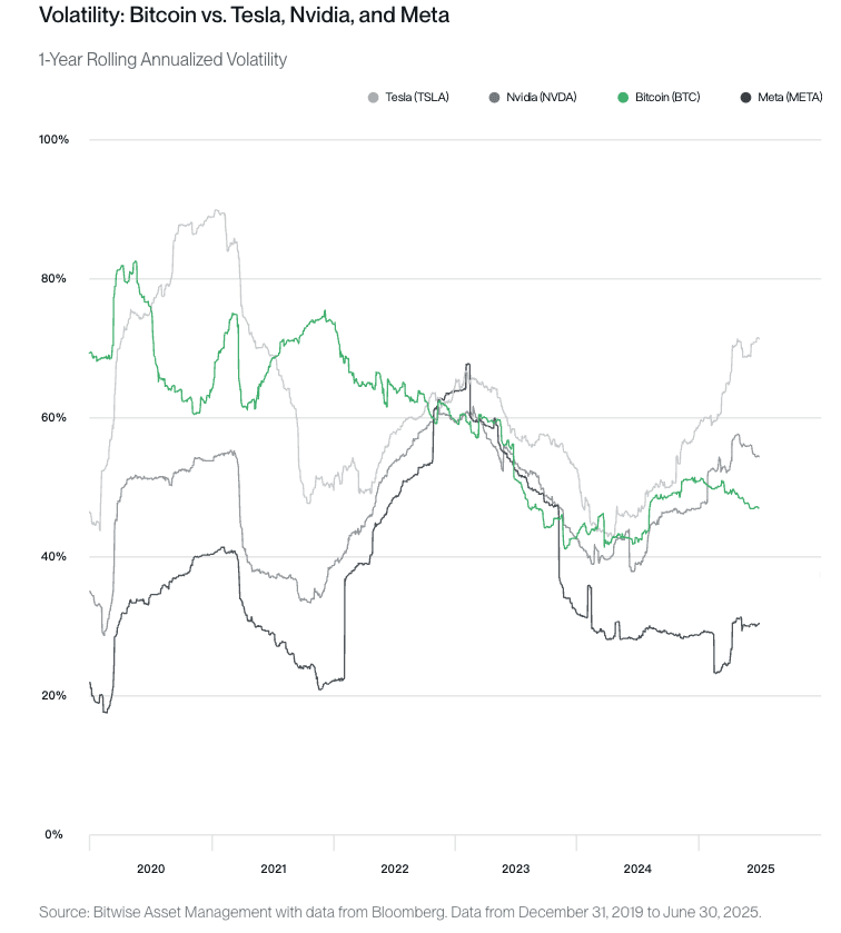 波動性：比特幣與特斯拉、Nvidia 和 Meta