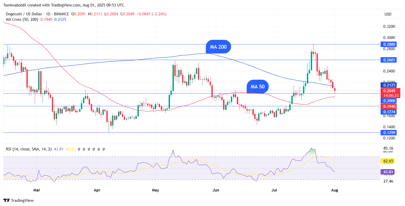 TradingView