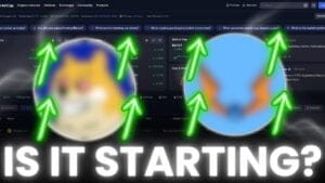 Cheap Cryptos To Buy As Prices Dip – Maxi Doge and Bitcoin Hyper