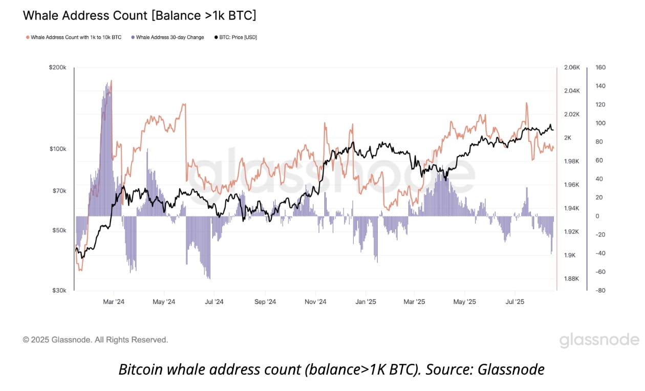 Bitcoin News: Bitcoin Rising Wedge Breakdown, As Analysts Warn BTC Price  Could Drop to $88K | Binance News on Binance Square