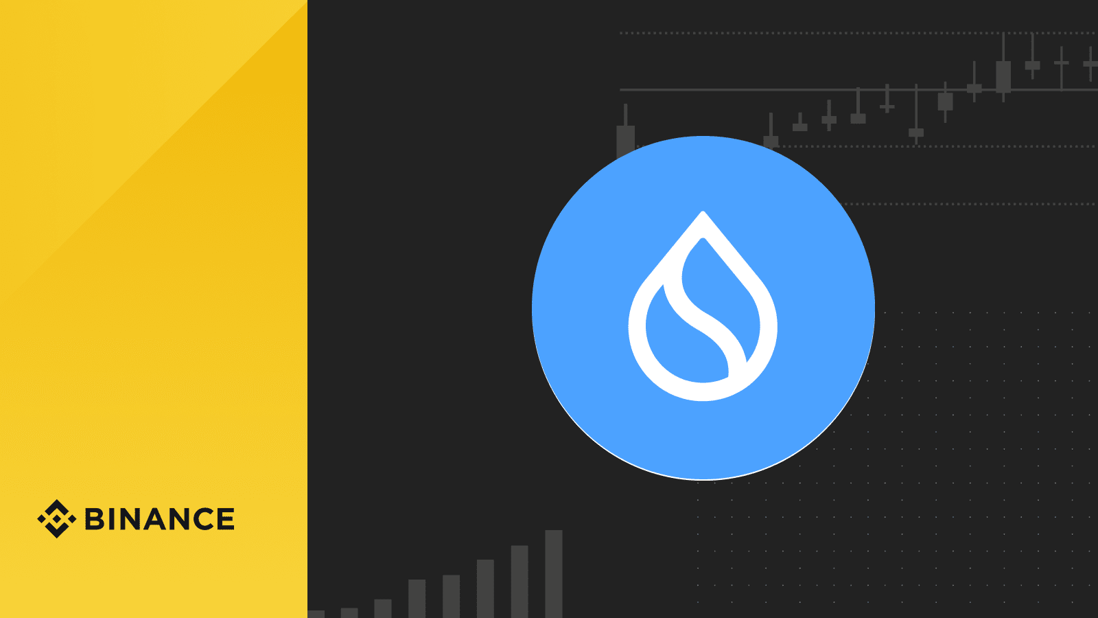 SUI - coin and development potential in the Web3 ecosystem | Binance  Vietnam on Binance Square