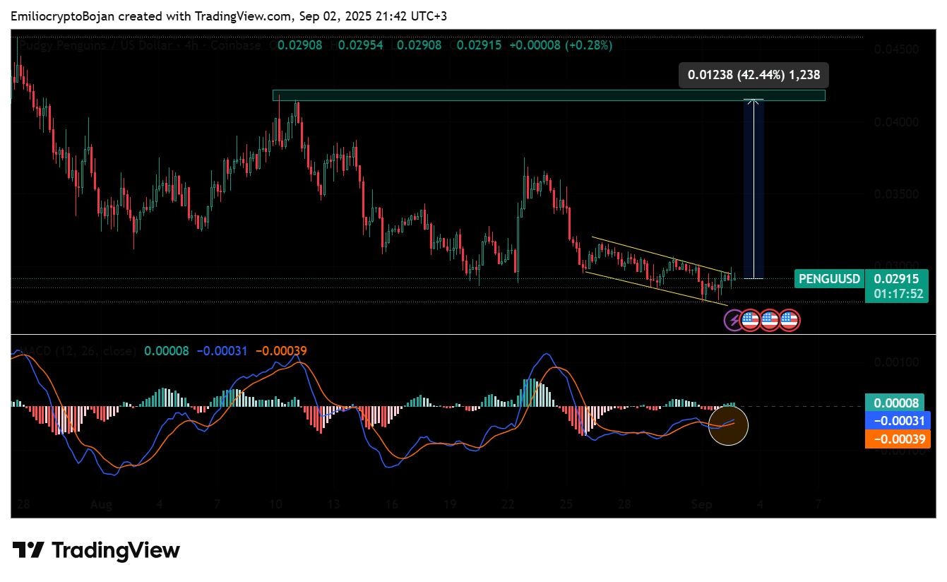 PENGU Muestra Fuerza Más Allá de la Caída | Emilio Crypto Bojan en Binance  Square