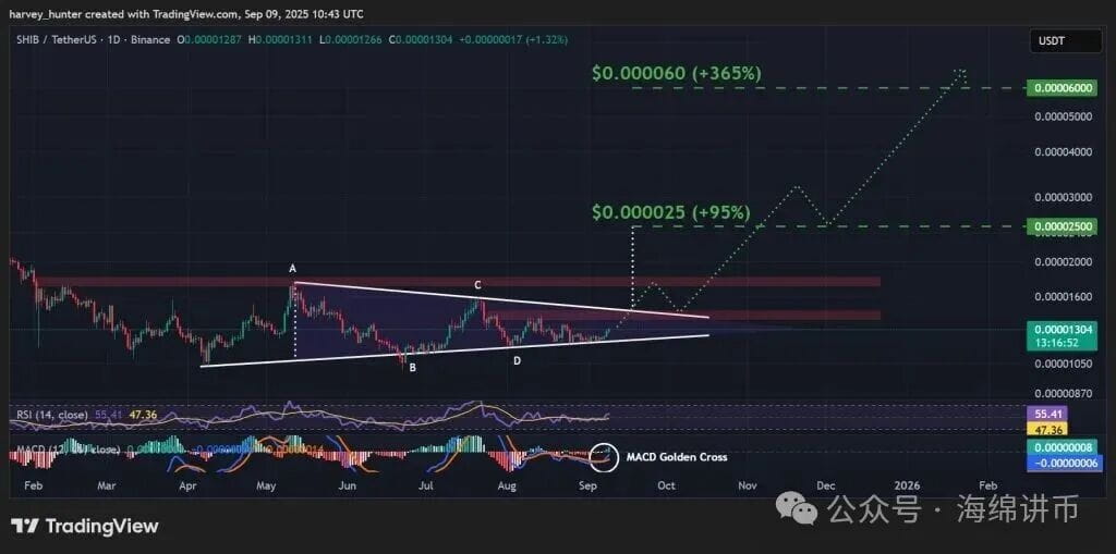 SHIB//USD 1日图，对称三角形形态。资料来源：TradingView。