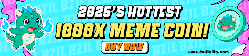 meme coin hype 2025