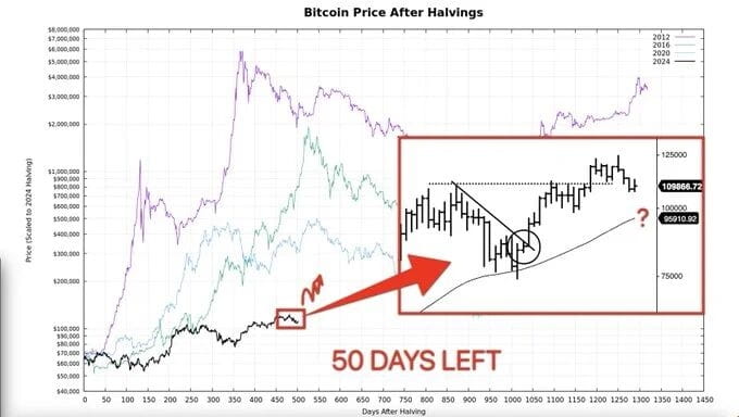 A line graph displaying Bitcoin price trends over time, with multiple colored lines representing different periods. A red arrow points to a zoomed-in section showing price fluctuations and a question mark indicating future uncertainty. Text overlays include "Bitcoin Price After Halvings," "50 DAYS LEFT," and labels like "2023-2024" and "BTC/USD."