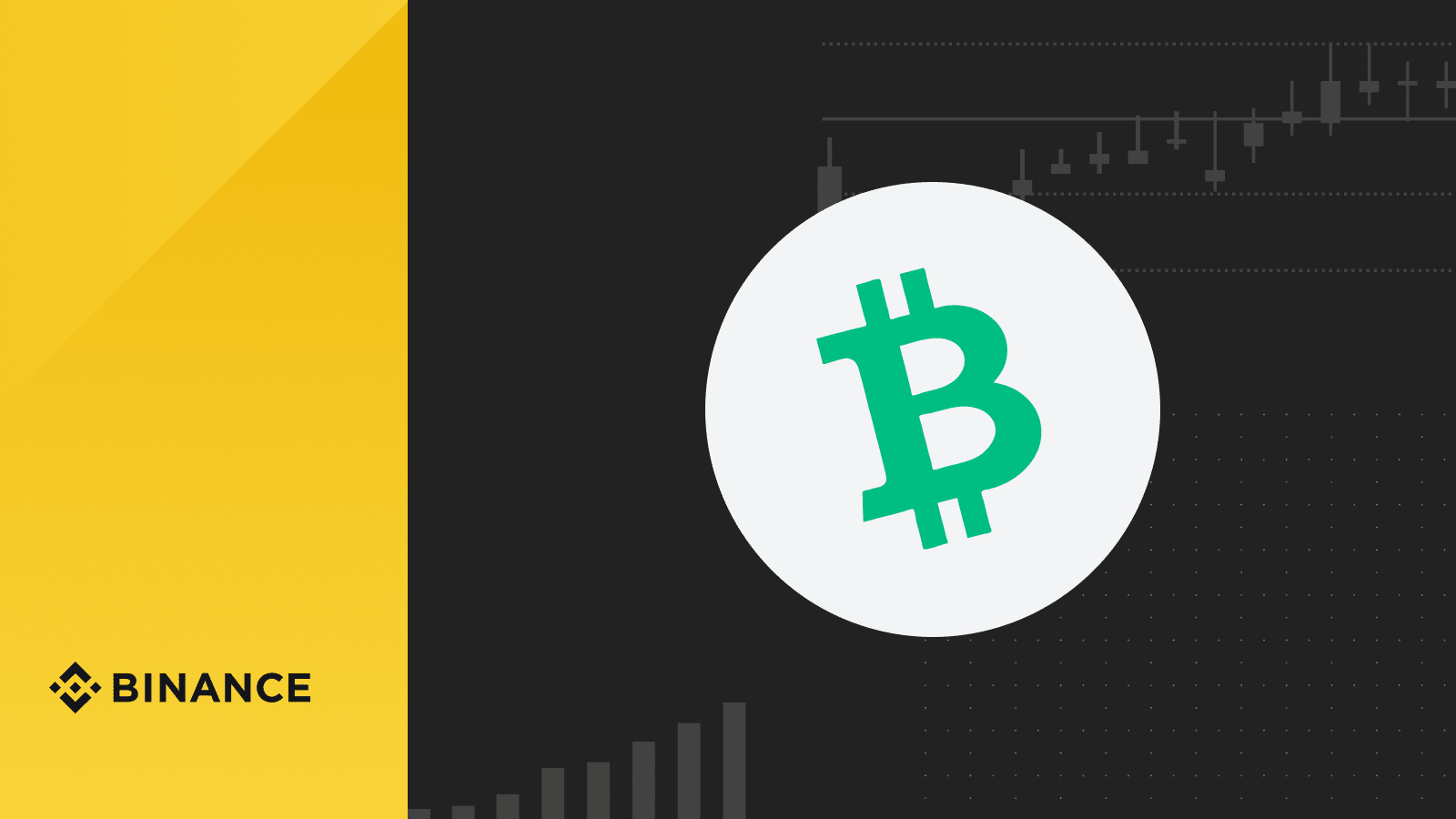 BCH - the Bitcoin Cash coin with faster payment speed | Binance Vietnam on  Binance Square