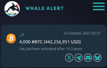 远古比特币钱包苏醒！14年持仓首次移动，市场关注信号_aicoin_图1