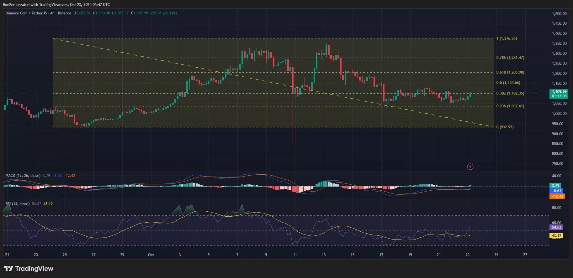BNB 价格、MACD 和 RSI 图表。