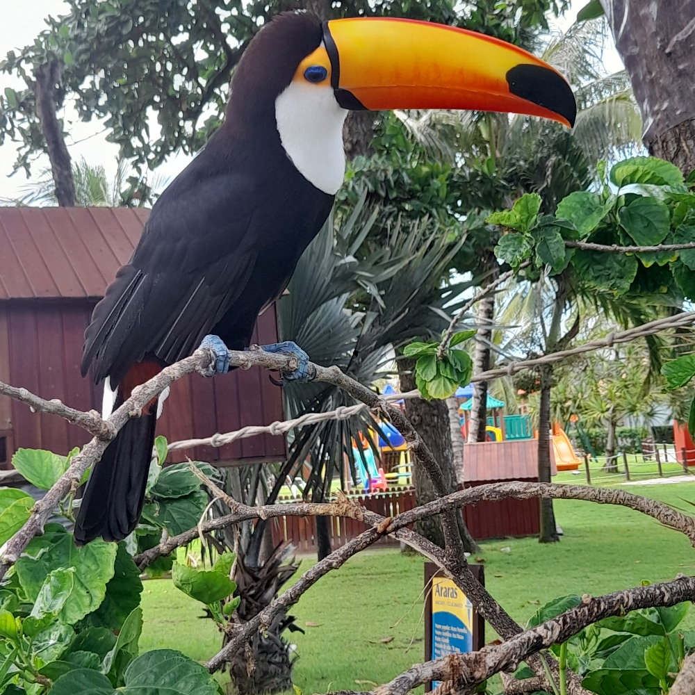 Hồ sơ của CriPendle | Binance Square